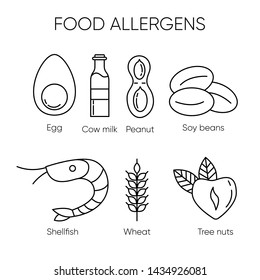 Common food allergens – set of vector linear icons with egg, cow milk, peanut, soy beans, shellfish, wheat and tree nuts. 