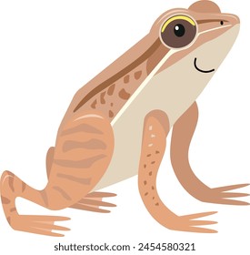 Common frog cartoon illustration isolated on white background. Flat style character for kids.