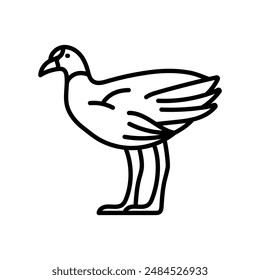 Common Gallinule Outline Icon, Vector illustration