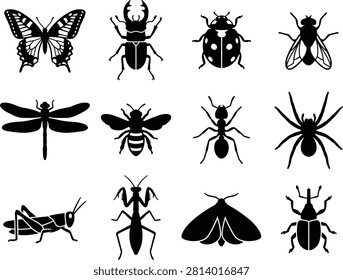 Common garden bug species set, entomology study graphics, nature wildlife elements.
