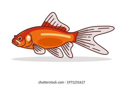 Common Goldfish Design Illustration Vector Art