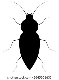 Besouro comum. Vista superior. Silhueta. Inseto com antenas, mandíbulas e membros longos. Ilustração vetorial. Fundo branco isolado. Besouro do jardim. Ideia para web design.