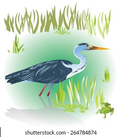 A common heron and a frog in natural habitat. Vector illustration.