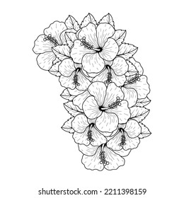 common hibiscus flower outline blossoming petal or rose mallow flowers coloring page with line art on isolated background.red hibiscus flower line art drawing sketch