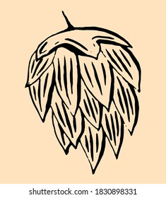 Common Hop, isolated on color beer background. Vintage engraving style. Vector illustration