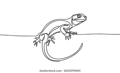 Common house gecko line art vector illustration 