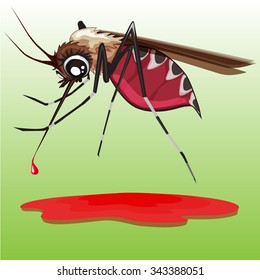 Common house mosquito.