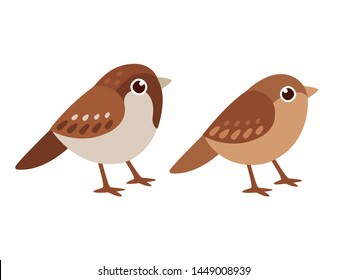 Common house sparrow couple, male and female. Small birds in cute cartoon style. Isolated vector clip art illustration.