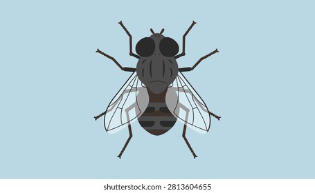 Common housefly insect shown from a top-down view on a light blue background, representing pest control and entomology.