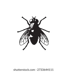 Elemento de diseño de vista superior de silueta de mosca doméstica común para la industria de control de plagas educación de la naturaleza y Clip de estudio de insectos