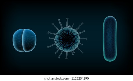 El Virus O Las Bacterias Humanos Comunes Bajo Un Microscopio Se Aceleran. Vector EPS10