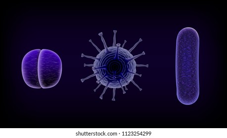 Common Human Virus Or Bacteria Under A Microscope Close Up. EPS10 Vector