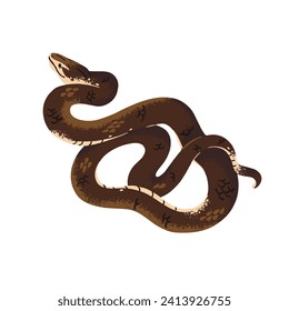 Common or Indian taipan. The most venomous australian snake. Dangerous exotic serpent with conservation status. Protected by law poisonous animal. Flat isolated vector illustration on white background