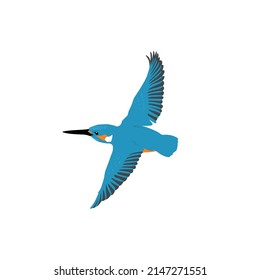 The common kingfisher, Alcedo atthis, 
is also known as the Eurasian kingfisher and river kingfisher. This species is a small kingfisher. 