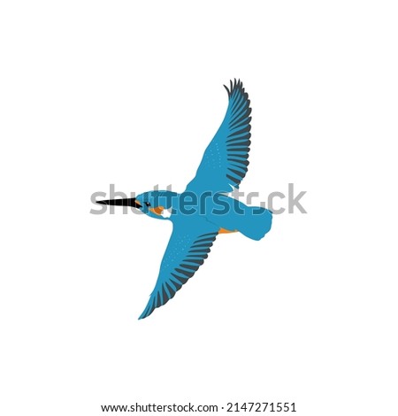 The common kingfisher, Alcedo atthis, 
is also known as the Eurasian kingfisher and river kingfisher. This species is a small kingfisher. 