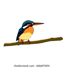 Common Kingfisher (bird vector)