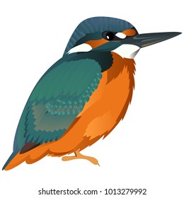 Gingfisher Karikaturvogel