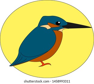 Common kingfisher  illustration  vector white background 