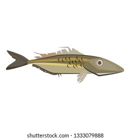 Common ling fish. Long and slender cod like fish. Can be used for topics like fishing, animal, aquarium