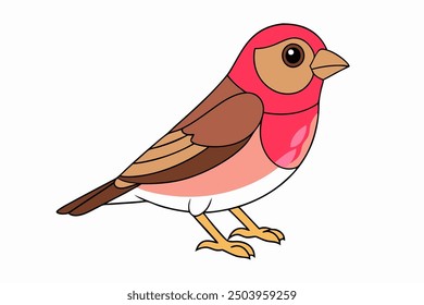 Common Linnet Bird Vector Illustration on White Background