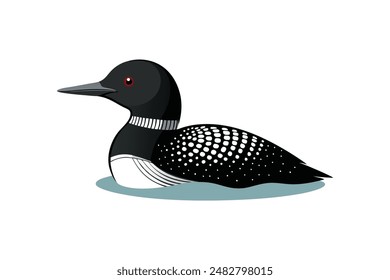 common loon bird vector art illustration image