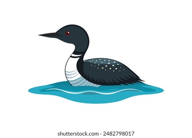 common loon bird vector art illustration image