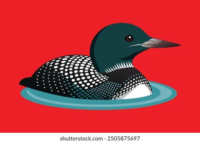 Common Loon bird vector art illustration