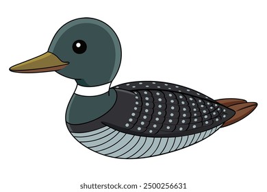  Common Loon Bird Vector Design