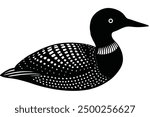 Common Loon on White Background Vector - Elegant Bird Illustration