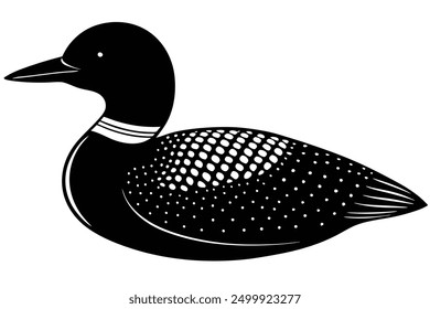 Common Loon on White Background Vector - Elegant Bird Illustration