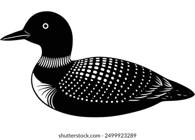 Common Loon on White Background Vector - Elegant Bird Illustration