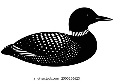 Common Loon on White Background Vector - Elegant Bird Illustration