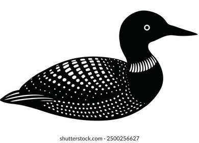 Common Loon on White Background Vector - Elegant Bird Illustration