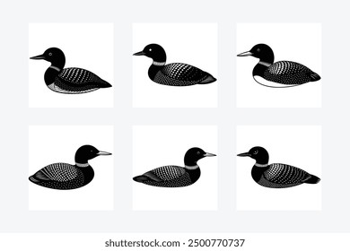 Common Loon on White Background Illustration 