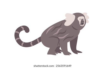 Common marmoset cartoon clipart. White-tufted marmoset vector illustration in flat style. New World monkey. Hand-drawn wild animal concept