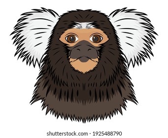 Common Marmoset Monkey Cartoon Illustration