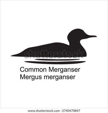 Common Merganser (Mergus merganser) Silhouette Vector Illustration Isolated on White