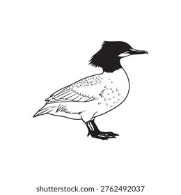 Common merganser outline vector flat illustration design