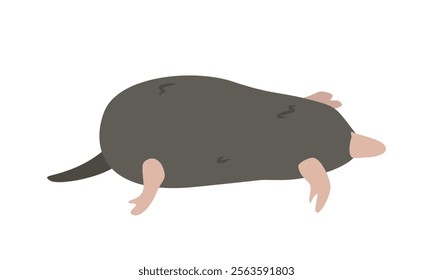 Common mole cartoon clipart. Northern mole vector illustration in flat style. Hand-drawn wild animal concept