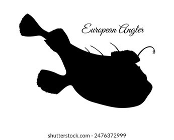 Common monkfish silhouette. European angler.