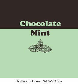 A common multi-layered dessert Chocolate Mint. Vector illustration.