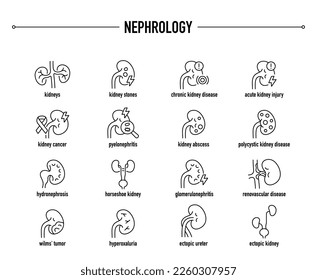 Conjunto de iconos vectoriales de enfermedades de la nefrología común. Iconos médicos editables en línea.