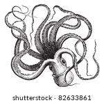 Common octopus (Octopus vulgaris) isolated on white, vintage engraved illustration.Trousset encyclopedia (1886 - 1891).