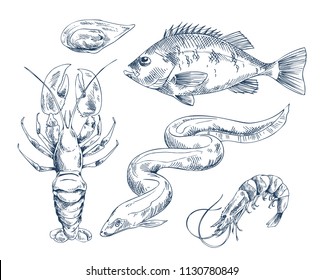 Common perch and eel, small shrimp and crab, edible clam mussel icon set. Monochrome hand drawn sea inhabitant illustration for seafood restaurant.