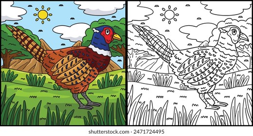 Common Pheasant Bird Coloring Page Illustration