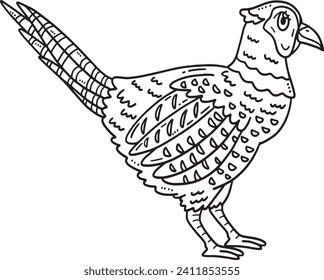Common Pheasant Bird Isolated Coloring Page svg