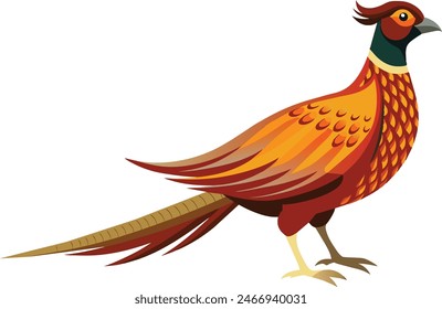 common pheasant bird vector image art illustration 2