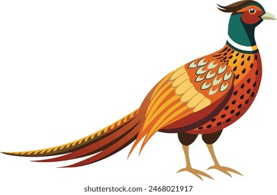 common pheasant bird vector image art illustration