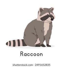 Common raccoon vector illustration, cartoon clipart character, animal in flat style. Wild animals, wild creatures, wildlife concept. Cute Northern raccoon vector design isolated on white