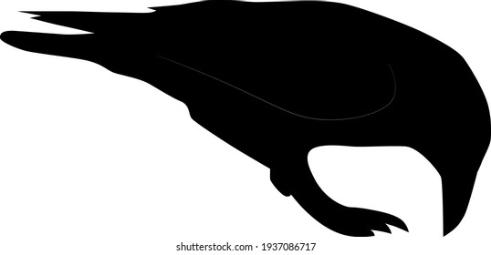 common raven pecking, vector silhouette